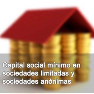 Capital social mínimo en sociedades limitadas y sociedades anónimas